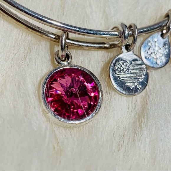 Alex and Ani October Rose Crystal Birthstone Charm Bracelet in Adjustable Silver - Picture 3 of 10
